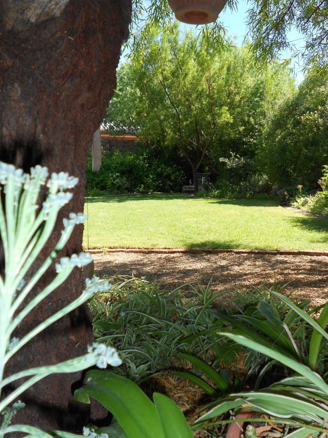 Pane Vivente Garden Cottage Beaufort West Exteriör bild